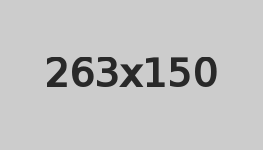 Banner 1